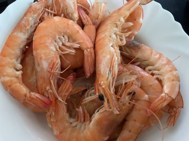 Temiz beyaz bir seramik tabağa kaynamış karides yakın plan. Servise hazır taze deniz ürünleri, yemek pişirme, gastronomi, menü tasarımı ve sağlıklı beslenme kavramları için harika..