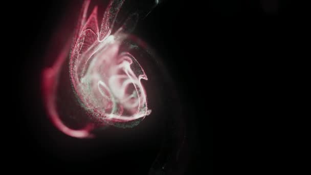 视觉错觉 催眠时的迷幻抽象 视频骑师的背景 设计音乐会 夜总会 小故障的计算机图形学 — 图库视频影像