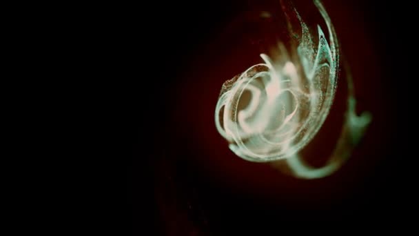 Illusions Visuelles Ondes Fumée Fluide Mouvant Abstrait Abstraction Psychédélique Hypnose — Video