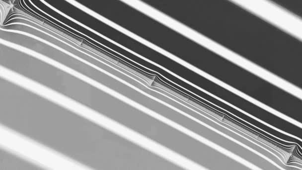 Fractales Noires Blanches Mouvement Caméra Intérieur Une Figure Géométrique Abstrait — Video