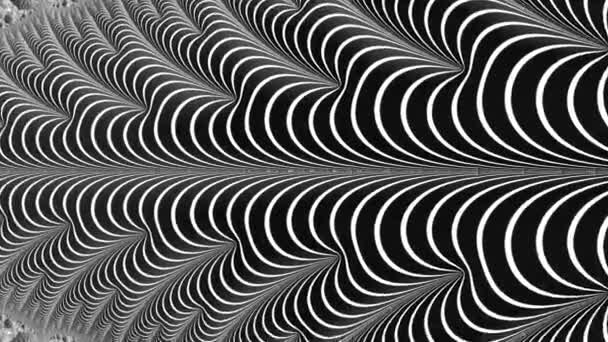 Czarno Białe Fraktale Ruchu Aparat Wewnątrz Figury Geometrycznej Abstrakcyjne Wielokolorowe — Wideo stockowe