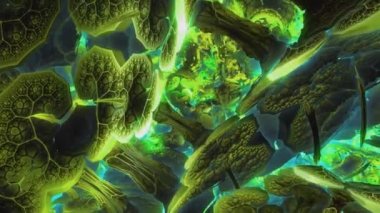 Psychedelic camera flight inside a mushroom. Visual illusions abstraction for hypnosis. Background for playing video jockey, VJ. Computer graphics for the design of concerts, nightclubs, glitch