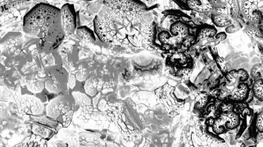 Psychedelic camera flight inside a mushroom. Visual illusions abstraction for hypnosis. Background for playing video jockey, VJ. Computer graphics for the design of concerts, nightclubs, glitch