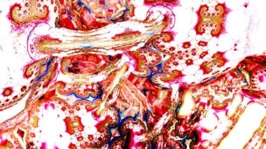 Psychedelic abstraction for hypnosis. Computer graphics for the design of concerts, nightclubs, glitch