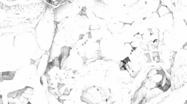 Kamera psikedelik bir mantarın içinde uçarken zihin bükme yolculuğuna çıkın. Canlı desenler ve renklerle dolu gerçeküstü bir dünyayı ortaya çıkarın.