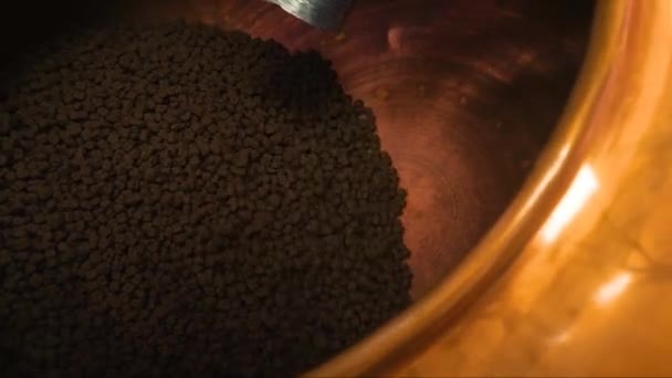 Lépjen Világ Nagyszabású Édes Gyártás Ahol Hipnotizáló Folyamat Kézműves Csokoládé — Stock videók