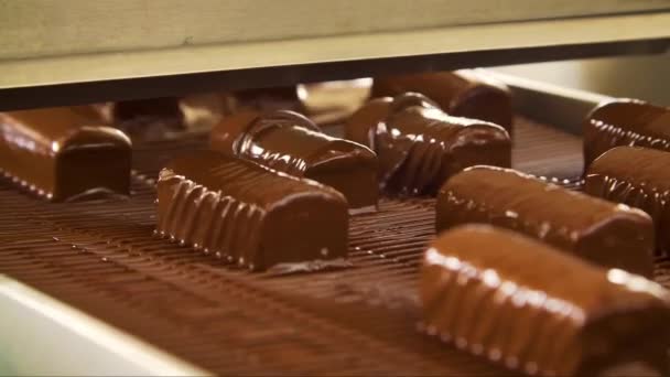 走进大规模甜蜜制造业的世界 在这个世界里 制作巧克力的迷人过程在你眼前展开 — 图库视频影像