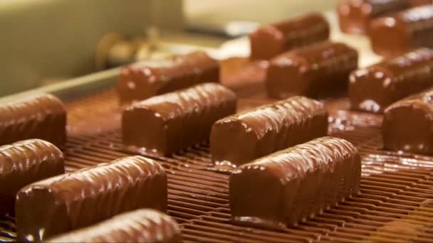 目の前にチョコレートを作るという魅惑的なプロセスが展開される大規模な甘い製造業の世界に足を踏み入れる — ストック動画