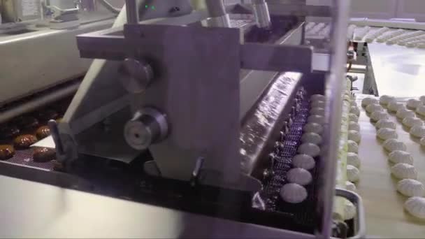 Kliv Värld Storskalig Söt Tillverkning Där Den Fascinerande Processen Att — Stockvideo