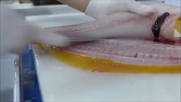 Altın Pisi Balığının Hassas Filetosu Aşçılık Sanatının Açılışı — Stok video