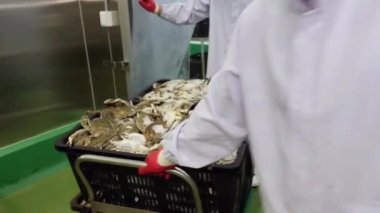 Majestic Dağlarında Uzak Doğu Yengeç Hasadı. Uzakdoğu yengeci, çarpıcı dağ manzarasının ortasında geniş ölçekli bir işlem için hazırlanıyor..