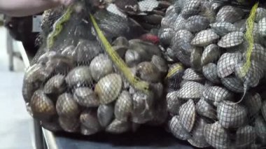 Taze yıkanmış, yenilebilir kabuklu deniz hayvanı teslimatı. Lezzetli midyeler, midyeler, istiridye, istiridye ve mide podlarının teslimatının tadını çıkarın..