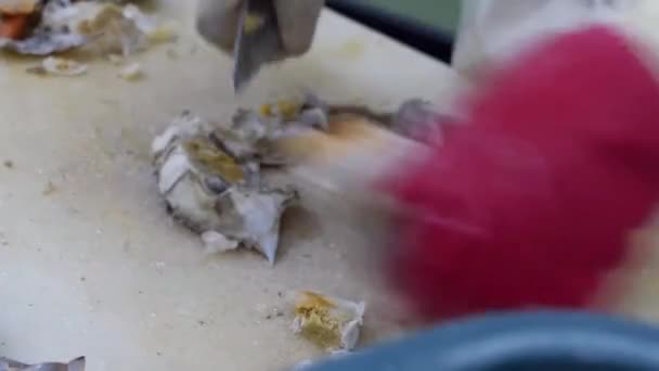 Coupe Artisanale Artisanale Crabe Extrême Orient Les Mains Habiles Coupent — Video