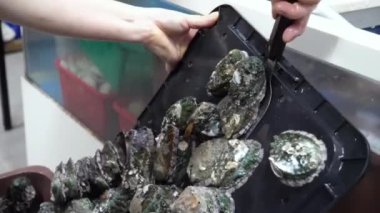 Hassas Asya Tabağı için Deniz Yumuşakçaları Temizleme. Deniz yumuşakçalarını yıkamak ve deniz kulağı yosunlarını denizkulaklarından temizlemek için görsel bir rehber, Asya 'da hassas bir aşçılık şaheserinin hazırlanmasında önemli bir adımdır..