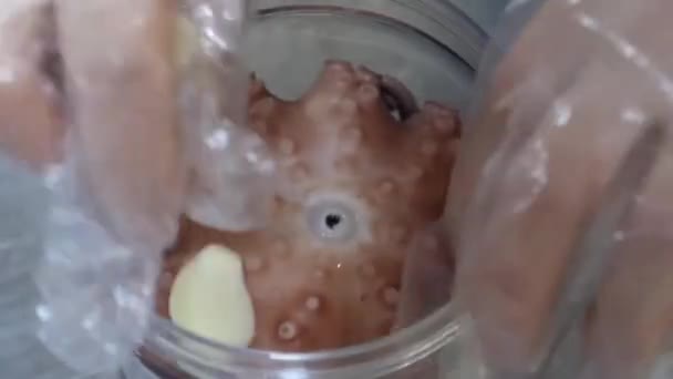 章鱼和鲍鱼的交配过程 介绍如何用调味品在酱油中腌制章鱼和鲍鱼的视频 — 图库视频影像
