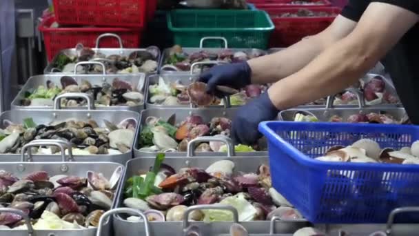 Sumptuous Seafood Delight Fresh Greens Prozkoumejte Kulinářské Umění Vytvořit Luxusní — Stock video