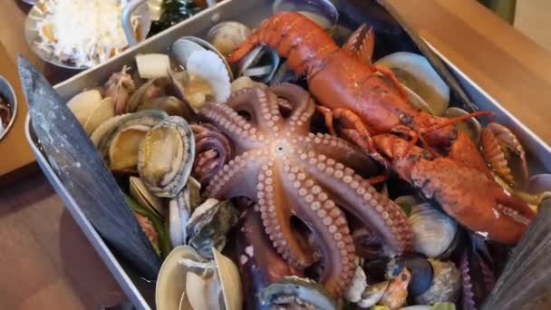 Seafood Extravaganza Humr Oliheň Chobotnice Další Dopřejte Extravaganzu Mořských Plodů — Stock video
