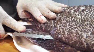 Becerikli bir şefin balık ve dev levrek filetosu sanatını mutfakta bıçak ustalığını nasıl sergilediğini izleyin.