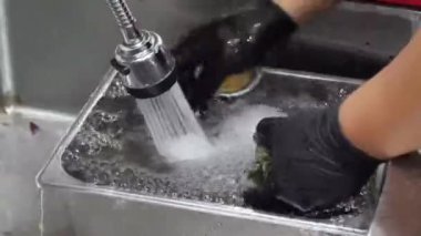 Bir restoran mutfağında deniz kulağı hazırlama sanatını keşfedin. Buharlı tencereye titiz bir durulama ve kusursuz bir yerleştirme bir mutfak başyapıtı oluşturur.