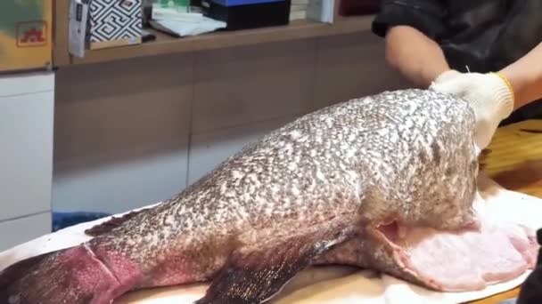 Oglądaj Wykwalifikowanego Szefa Kuchni Zademonstruj Sztukę Filetowania Grouper Gigantyczny Okoń — Wideo stockowe