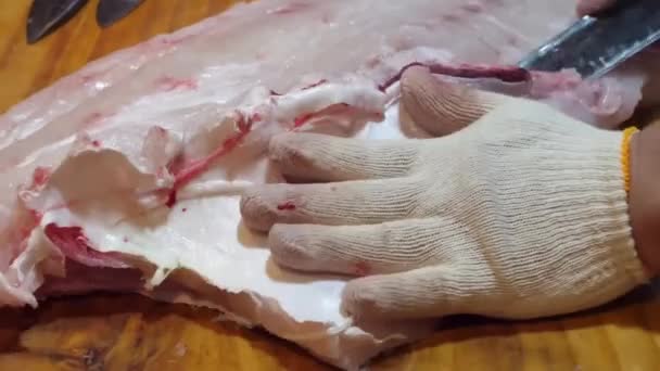 マスターシェフのエキスパートナイフのスキルを目撃して スーパーフィレットを長い部分に彫り キッチンの皮膚から繊細に海底肉を分離します — ストック動画