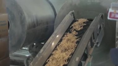 Kaliteli eşleşmelerin üretimi için süreç hatta. Kibrit üretimi için mekanize bir hat, boşluklar sıralanır ve kibrit kafa bileşimi istikrarlı bir sonuç elde etmek için ustalıkla uygulanır.