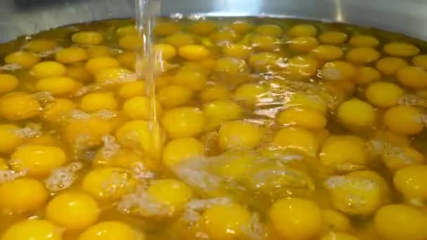 Testemunhe Processo Mistura Claras Ovos Gemas Com Manteiga Uma Cuba — Vídeo de Stock