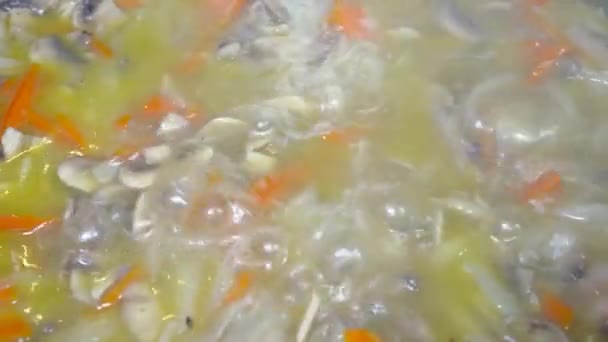 Prozess Zwiebeln Karotten Und Champignons Weich Dünsten Und Dann Mit — Stockvideo