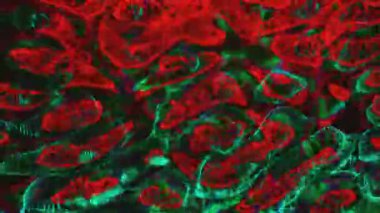 Parlak, alışılmadık bir renkte, neon efektli soyut sıvı hareketi.