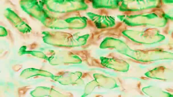 Abstrakte Flüssige Bewegung Einer Hellen Ungewöhnlichen Farbe Mit Neon Effekt — Stockvideo