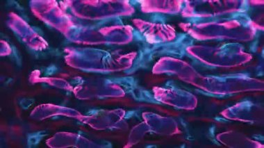 Parlak, alışılmadık bir renkte, neon efektli soyut sıvı hareketi.