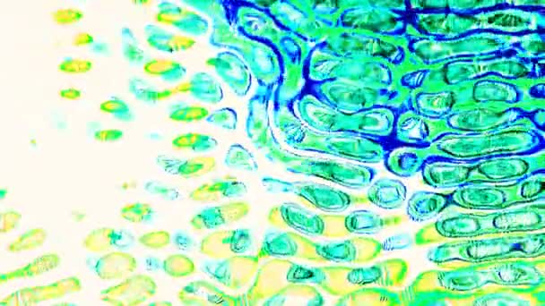 Абстрактное Движение Жидкости Ярким Необычным Цветом Неоновым Эффектом — стоковое видео