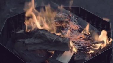 Geceyi ateşleyen şenlik ateşi. Küçük bir şenlik ateşi, odun parçalarının üzerinde dans eden alevler, altın parıltılarıyla çevreyi aydınlatıyor..