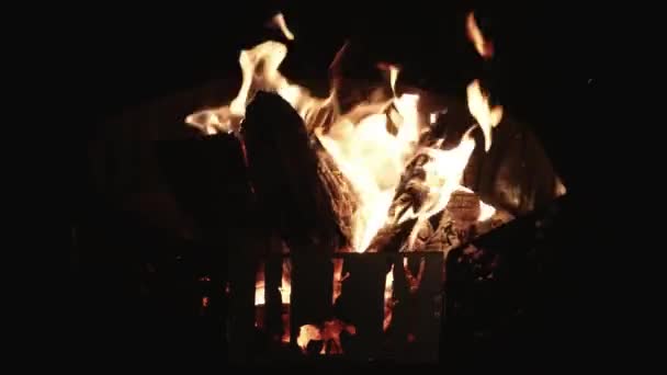 篝火点燃了夜晚 一个小篝火 火焰在木片上舞动 用它们的金光照亮四周 — 图库视频影像