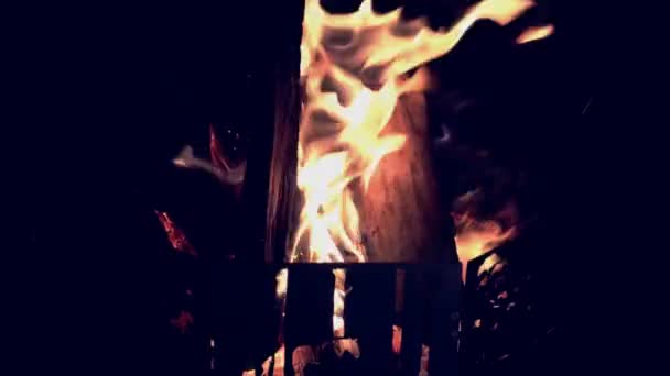 Geceyi Ateşleyen Şenlik Ateşi Küçük Bir Şenlik Ateşi Odun Parçalarının — Stok video