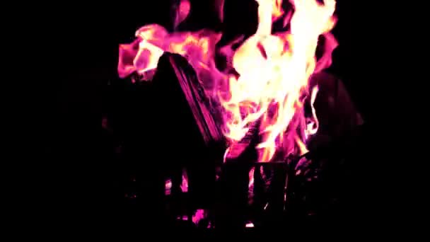 木头上篝火的霓虹灯阴性 篝火木头上的篝火 由于霓虹灯的颜色倒置 呈现出一种抽象而怪异的外观 产生了一种独特的视觉效果 — 图库视频影像