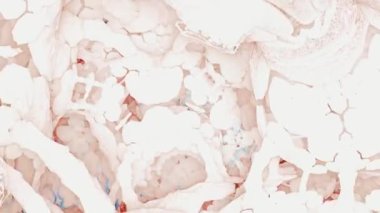 Soyut yapıda kamera yolculuğu. Video canlı ve renkli soyut bir dijital sanat eserini tasvir ediyor. Karmaşık ve karmaşık bir yapıda uçan bir kamera.