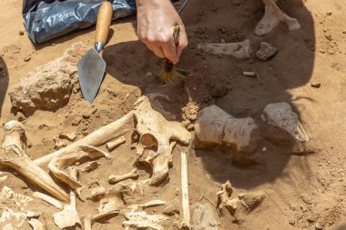 Kumdan insan kalıntıları çıkaran bir antropologun elleri..