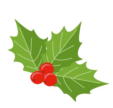 Holly Berry ikonu. Noel Çiçeği sembolü, beyaz arka planda izole edilmiş Vektör Düz Çizim. Böğürtlen ve Yapraklarla Xmas Dekorasyonu, Şablon, Kartpostal, Etiket için Geleneksel Tasarım Ögesi.