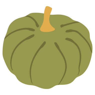 Yeşil balkabağı, Cadılar Bayramı için sonbahar dekoratif sebze, Şükran Günü. Elle çizilmiş kabak taşıyıcısı, kabak beyaza izole edilmiş. Olgun ve Sağlıklı Mevsim Bitkisi, Doğal Çiftlik Dekorasyonu, Tasarım Nesnesi