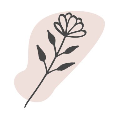 Herb ve Flower 'ın silueti. Vektör Çizgisi Botanik elementi Renk Noktası 'nda beyaz üzerine izole edildi. Pastel renklerde Boho tarzı illüstrasyon. Dekorasyon, Kart, Duvar Sanatı, Poster İçin El Çizimi Bitkisi