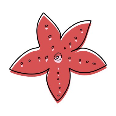 Karalama denizyıldızı. Kızıl Deniz Yıldızı beyaz arka planda çizim yapıyor. Summer Textile, Card için tasarım vektörü ilüstrasyonu izole ögesi. Grafiksel nesne. Okyanus Çiçeği, Vahşi Yaşam Konsepti.