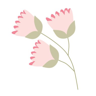 Beyaz arka planda Pembe Düz Çizgi Film Çiçekleri 'nin şubesi var. Dekorasyon, Kart ve Düğün Davetiyesi Tasarımı, Anneler Günü ve Diğer Kutlamalar İçin El Çizimi Botanik Çizimi.