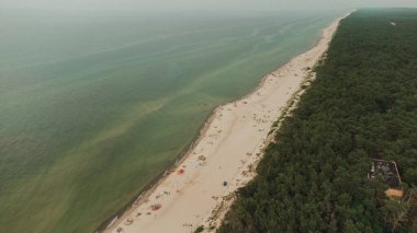 Sand beach with green pines, sea with waves on the Baltic Sea from above.