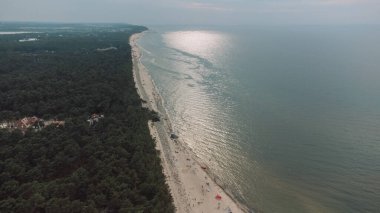 Sand beach with green pines, sea with waves on the Baltic Sea from above.