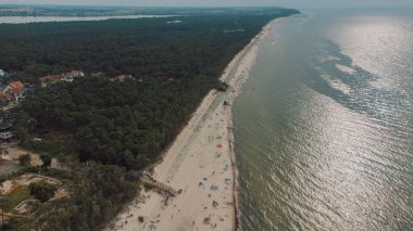 Sand beach with green pines, sea with waves on the Baltic Sea from above.