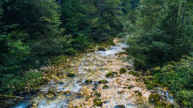 Slovenia alps forest and mountain river