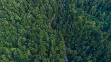 Slovenia alps forest and mountain river