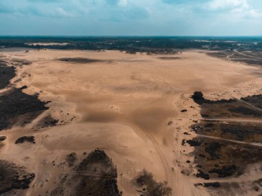 The Loonse and Drunense Duinen Ulusal Parkı 'nda Çölün, Çamların ve Mavi Gök' ün En İyi Görüntüsü