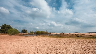 Loonse ve Drunense Duinen Ulusal Parkı, Mavi Gökyüzü, Büyük Beyaz Bulutlar, Uzakta Çamlar, Kuru Ağaçlar ve Sarı Kum